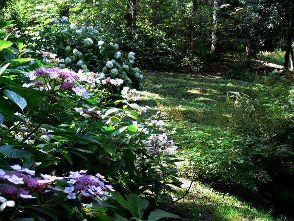 Bois des Moutiers  (71) Summer 2012
